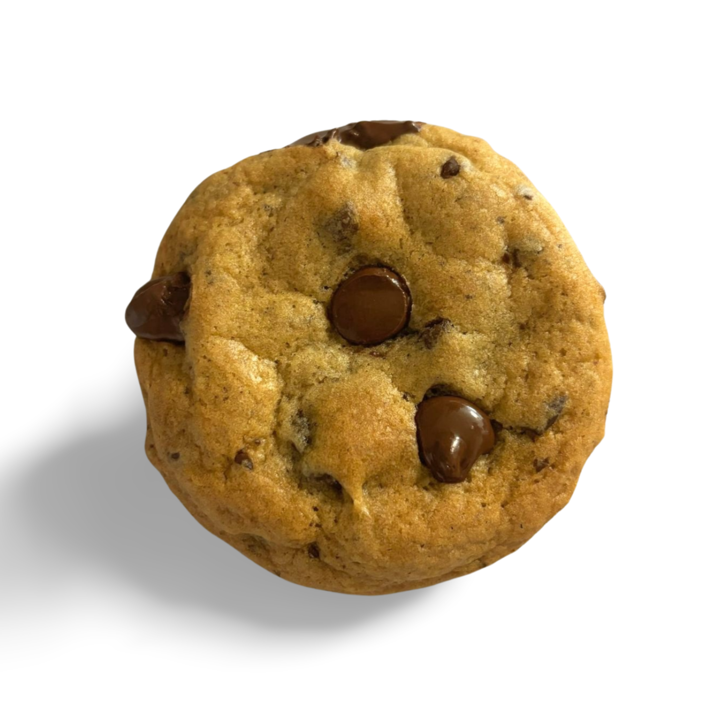 INITIAL-D Gluten-Free Choc Chip Cookie Dough