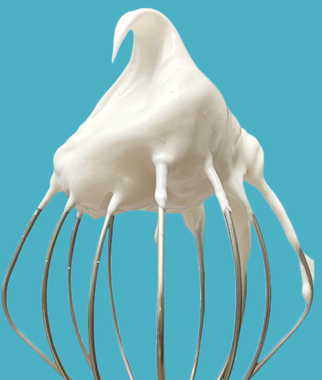HATCHED Egg Replacer